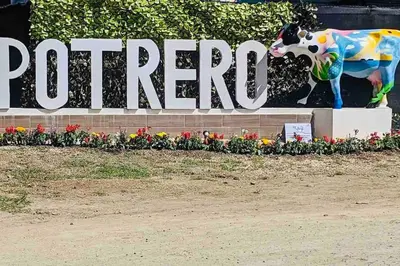 a sign for aporro sign with flowers and a cow at Gorgeous Beachfront Home in Playa Potrero in Playa Flamingo