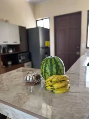 a watermelon and a bunch of bananas on a kitchen counter at Apartamentos del Sol #2 in Tilarán