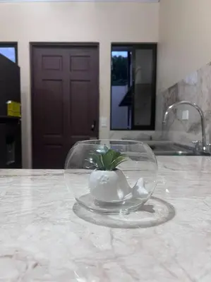 a glass bowl with a plant in it on a counter at Apartamentos del Sol #2 in Tilarán