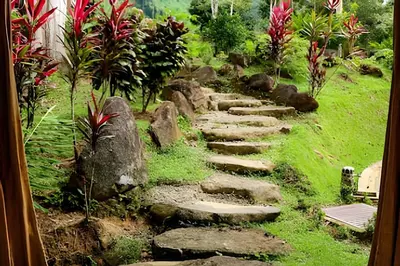 a stone path in a garden with red flowers at MonkeyRanch LuxLodge in Dominicalito