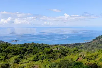 an aerial view of the water and trees at MonkeyRanch LuxLodge in Dominicalito
