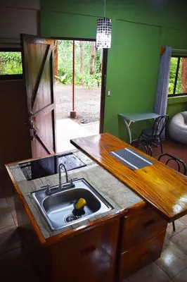 a kitchen with a sink and a counter top at Hospedaje Casa Coyote in Hacienda Monteverde