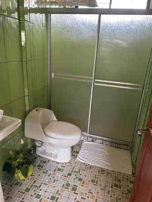 a bathroom with a toilet and a shower at Casa anturio 2 in Fortuna