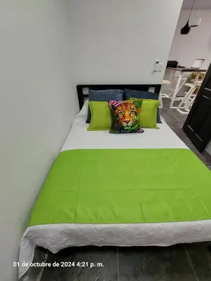 a bed with green sheets and pillows in a room at DEPARTAMENTOs HABY 1 in Paquera