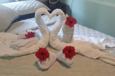 two swans are made to look like hearts on a bed at Angel Bee Lodge in Fortuna
