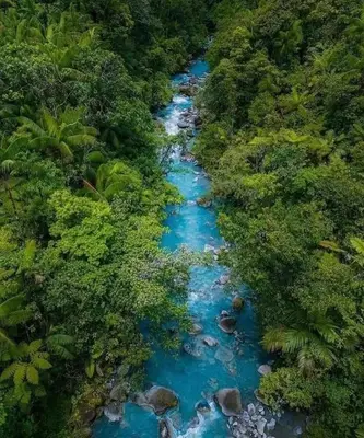 an aerial view of a river in the jungle at Posada Familiar Rìo Celeste in San Rafael
