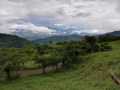 a green field with trees and mountains in the background at Finca Queveri in Orosí