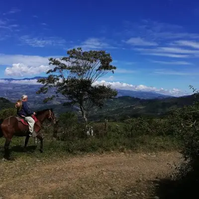 Finca Queveri