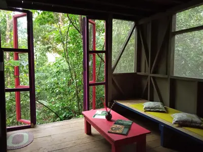 a room with windows and a bench and a table at Yatama Rainforest Ecolodge in Sarapiquí