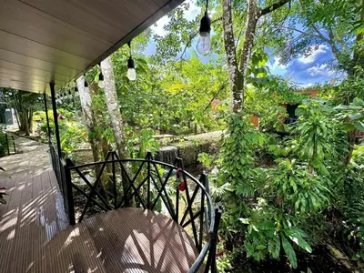 a chair on a porch with trees and plants at Bungalows at Residencias Arenal in Fortuna
