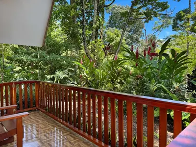 a wooden deck with trees and plants on it at Oro Verde Lodge in Fortuna