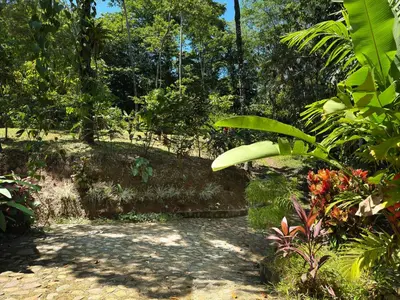 a garden with many plants and trees and a path at Oro Verde Lodge in Fortuna