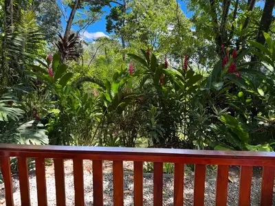 a red wooden bench in front of a garden at Oro Verde Lodge in Fortuna