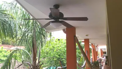 a ceiling fan in a room with a palm tree at Condominio Coco Marindo #34 in Coco