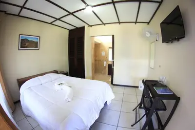 a bedroom with a white cat laying on a bed at Hotel Wagelia Turrialba in Turrialba