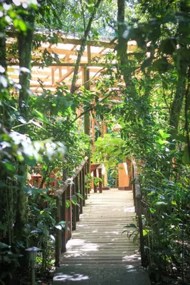 a wooden walkway in a garden with trees at Hotel Wagelia Espino Blanco in Turrialba