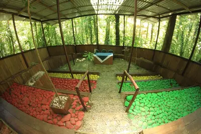 a playground with a swing set in a igloo at Hotel Wagelia Espino Blanco in Turrialba