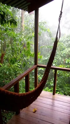 a hammock hanging from a porch in a forest at Hotel Wagelia Espino Blanco in Turrialba