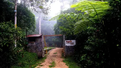 a dirt road in the middle of a forest with a sign at Hotel Wagelia Espino Blanco in Turrialba