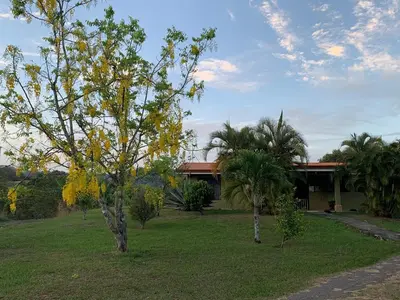 a house with trees in front of a yard at Caladium House in Mercedes