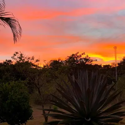 a sunset in the desert with a plant and trees at Caladium House in Mercedes
