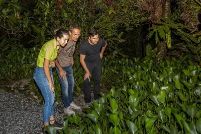 a group of three people looking at green plants at Tifakara by the Waterfall in Fortuna