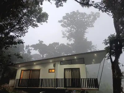 a house in the middle of the forest at Athila Ecolove in Monteverde Costa Rica