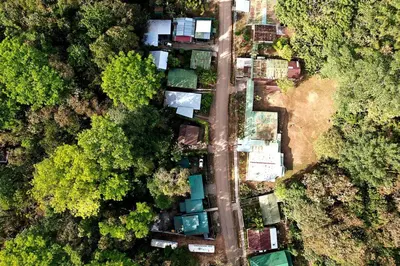 an overhead view of a road in a forest at Bamboo Relax Uvita in Uvita