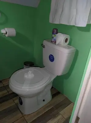 a green bathroom with a toilet with a roll of toilet paper at Bamboo Relax Uvita in Uvita