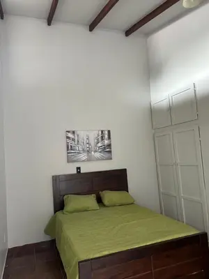 Gallery image of Apartamento Colibri in Parrita