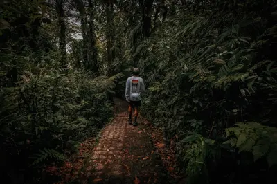 a man walking down a trail in a forest at Jaguarundi Jungle Lodge - Monteverde in Monteverde Costa Rica