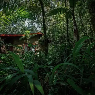 Jaguarundi Jungle Lodge - Monteverde