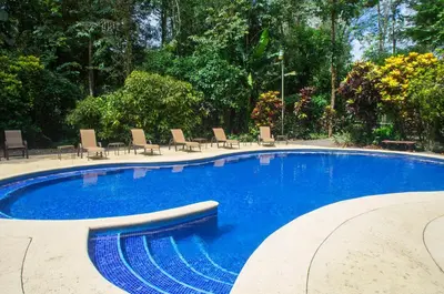 a large blue swimming pool with chairs and trees at Selva Verde Lodge in Sarapiquí