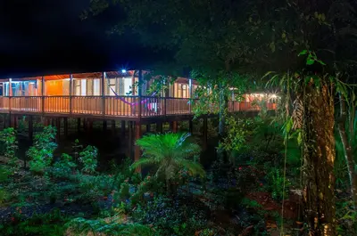a house with a deck in the woods at night at Selva Verde Lodge in Sarapiquí