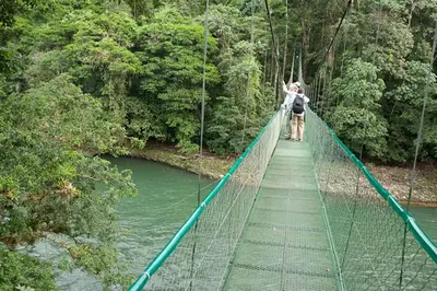 a couple of people on a suspension bridge over a river at Selva Verde Lodge in Sarapiquí