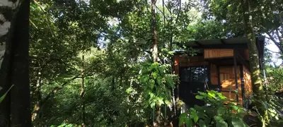 a tree house in the middle of the forest at Cabaña Colibri #2 in Quesada