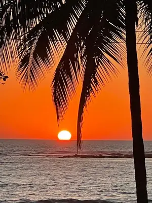 a sunset on the beach with a palm tree at Beachfront tiny bungalow in Cóbano