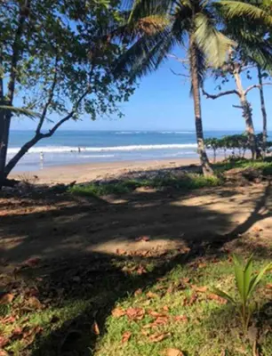 a sandy beach with palm trees and the ocean at Beachfront tiny bungalow in Cóbano