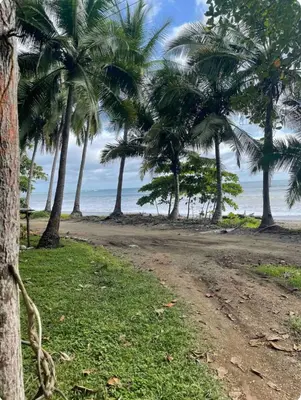 a dirt road with palm trees on the beach at Beachfront tiny bungalow in Cóbano