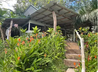 a house with a garden with flowers at Beachfront tiny bungalow in Cóbano
