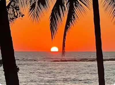 a sunset on the beach with two palm trees at Beachfront sunset Bungalow in Boca de Ario