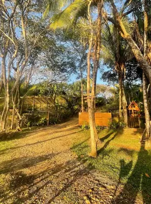 a yard with palm trees and a house in the background at Beachfront sunset Bungalow in Boca de Ario