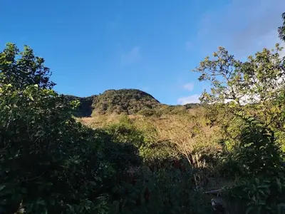 Gallery image of Cabina la Fuente in Monteverde Costa Rica