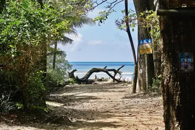 a dirt path to the beach with the ocean in the background at CasaMAR Santa Teresa on the Beach in Carmen