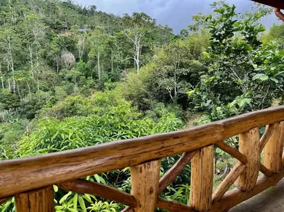 a wooden bench with a view of a forest at Cabaña Vistas Paraíso in Turrialba