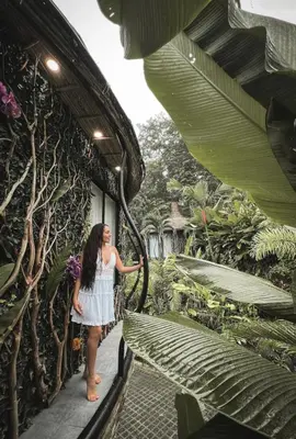 Gallery image of Arenal Nest in San Francisco