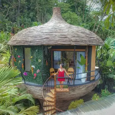 Arenal Nest