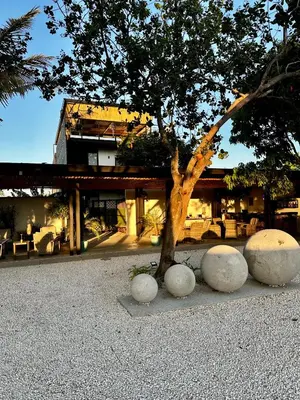 a tree in front of a building with rocks around it at Narime Costa Rica in Palmira