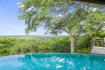 a swimming pool with a tree and a chair at Villa La Loma, Oceanview, Private Pool and AC! in Tarcoles