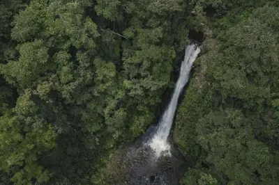an aerial view of a river in the middle of a forest at Private Costa Rica Mountain House Pool & Stunning Views in Turrialba